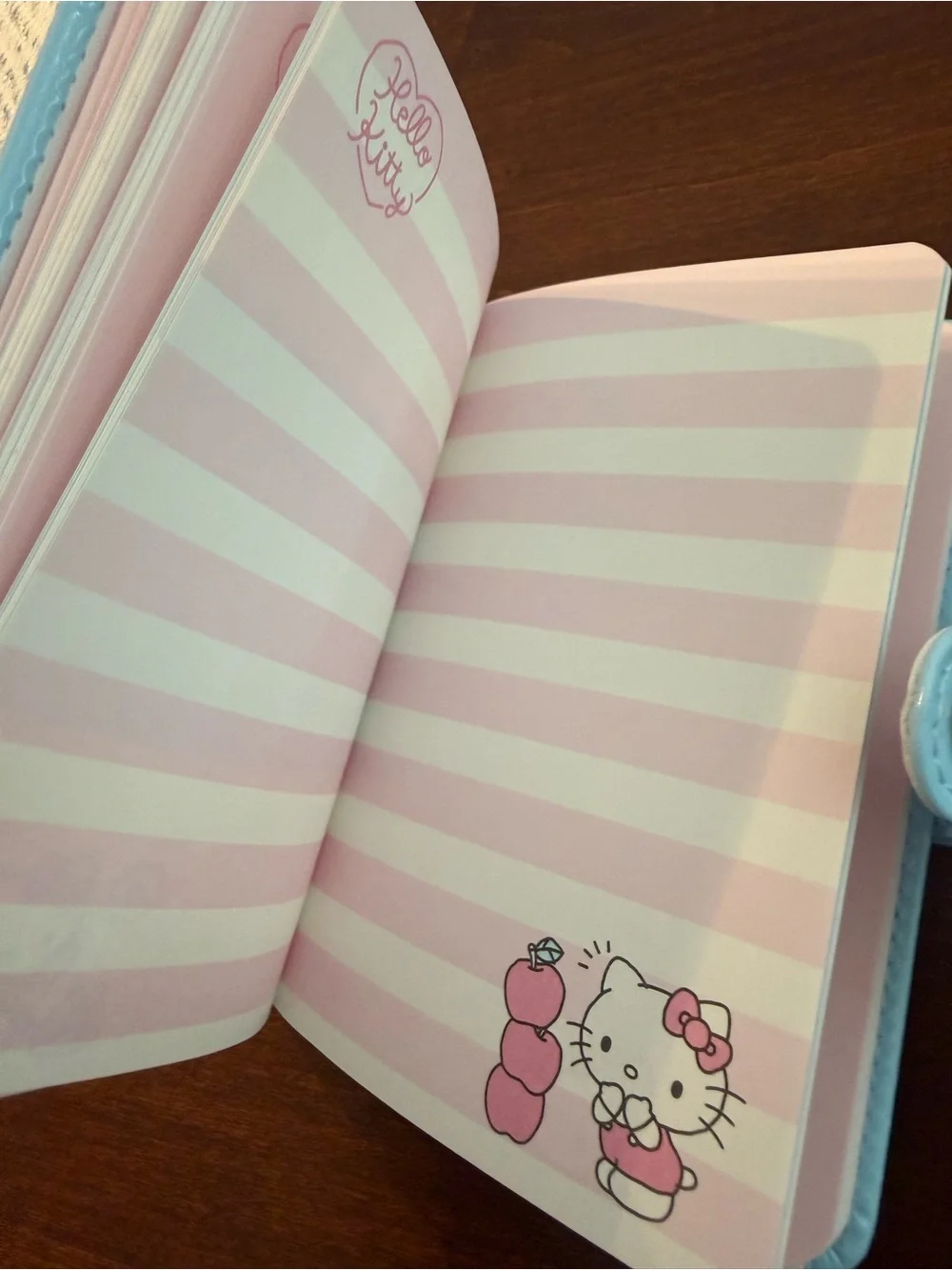 NWT! Sanrio licensed Hello Kitty authentic product journal with graphic pages